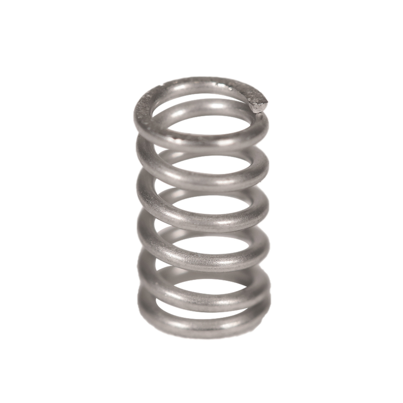 Valve Spring
